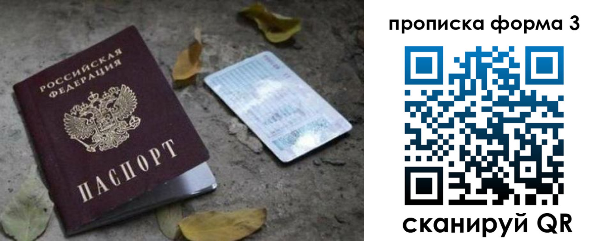 прописка для работы в Светогорске